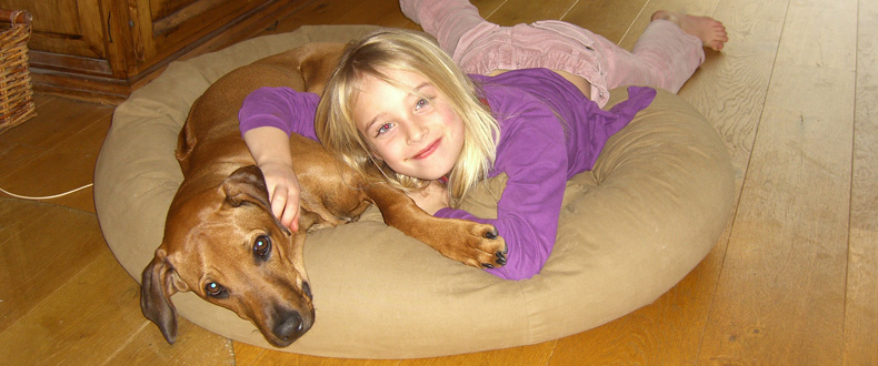 kind_hund_kurs