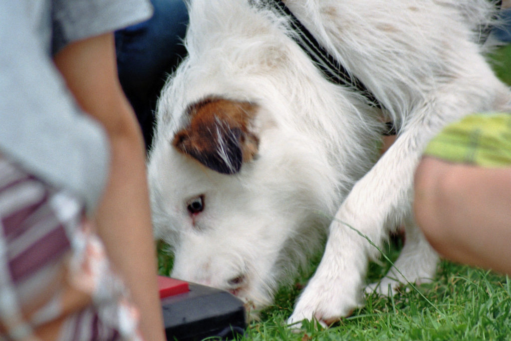 Bild019_Neg.Nr.20