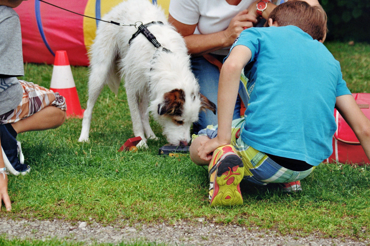 Konditionierung Teamtraining Mensch & Hund